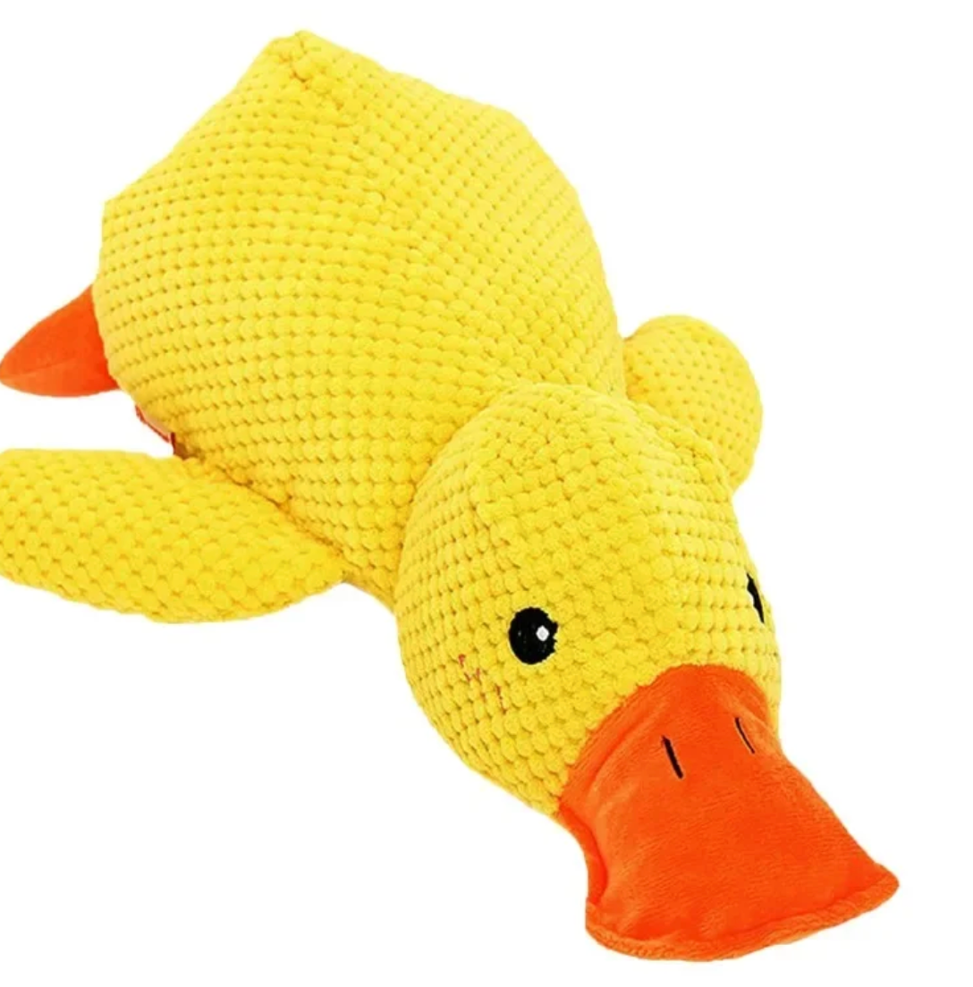Ente zum Spielen für Hunde